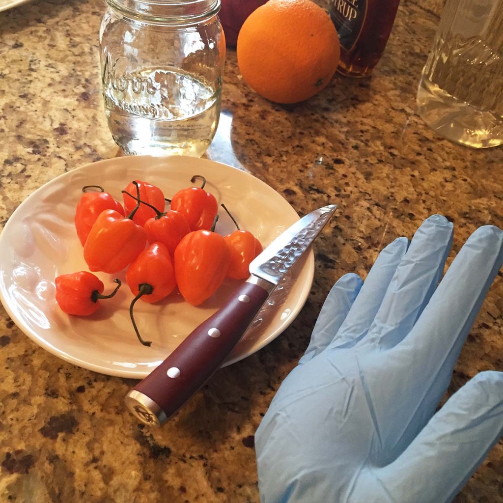 habanero plate with glove