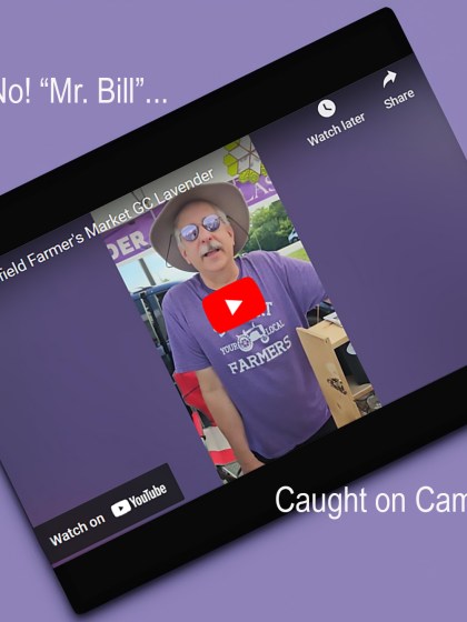 Mr. Bill caught on camera! at the Windfield Farmers Market