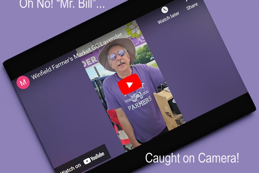 Mr. Bill caught on camera! at the Windfield Farmers Market