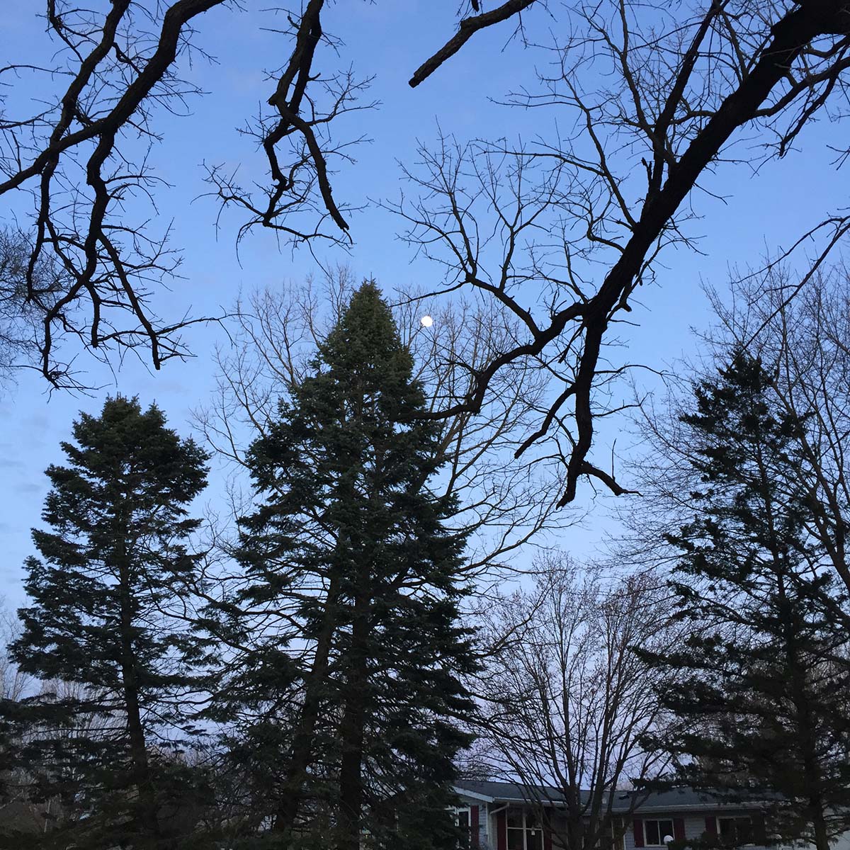 Episode #10: Inspiration and&nbsp;Iceberg